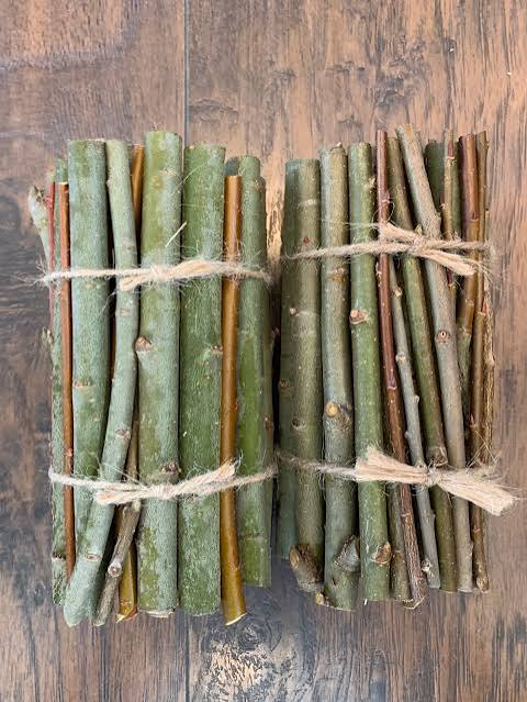 120 Pack Hybrid Willow Cuttings